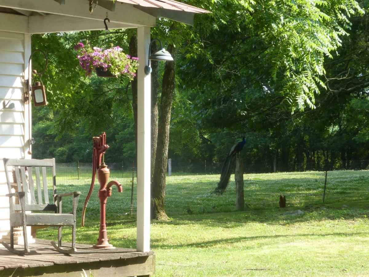 Mulberry Lavender Farm And B&B Luaran gambar