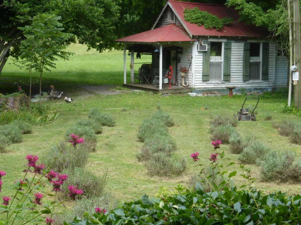 Mulberry Lavender Farm And B&B Luaran gambar